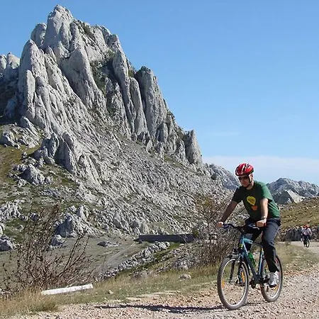 Simic Διαμέρισμα